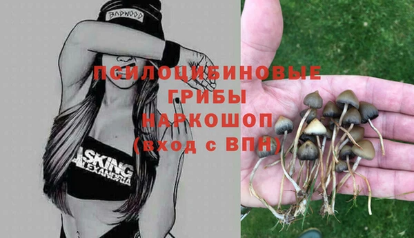 героин Няндома