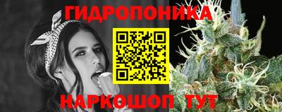 первитин Новозыбков