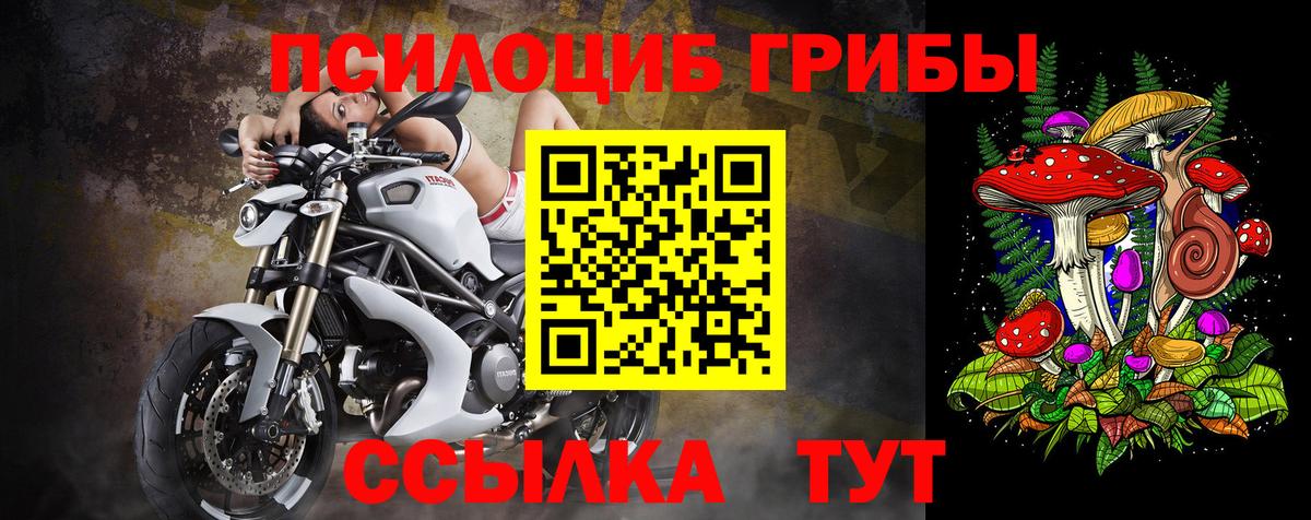 Псилоцибиновые грибы GOLDEN TEACHER Шуя