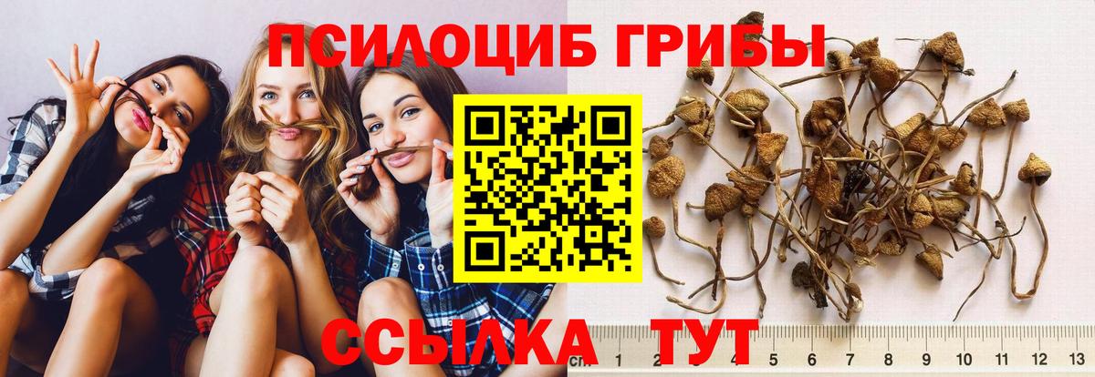 Псилоцибиновые грибы ЛСД  Вход с VPN  Шуя 